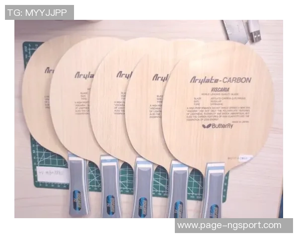 乒乓球装备选购指南精选优质球拍推荐助你提升球技 乒乓球装备选购指南精选优质球拍推荐助你提升球技